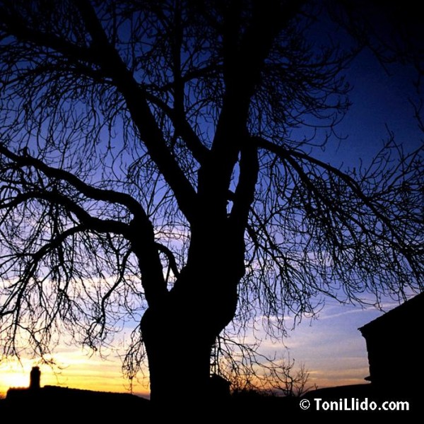 atardecer1