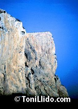 morro-codina